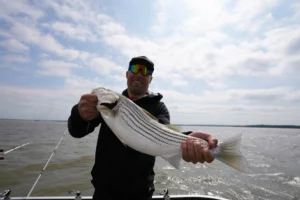 Anglers with a spring 2025 Lake Texoma striper catch guided by Bonefisc Striper Guide Service